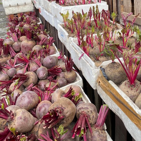 Buah Bit Segar 1 kg