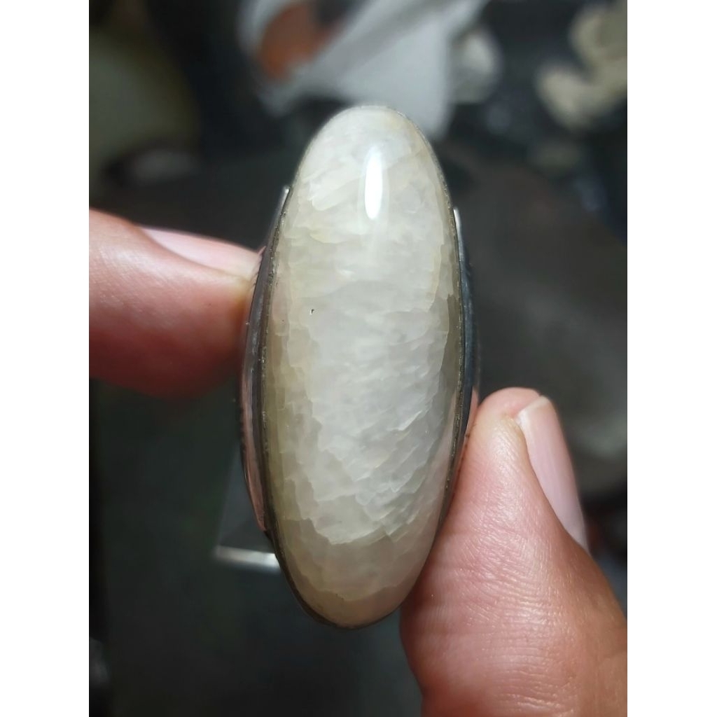Pandan Kapas