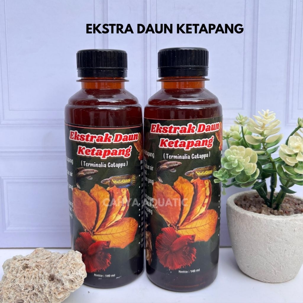 Ekstra daun ketapang