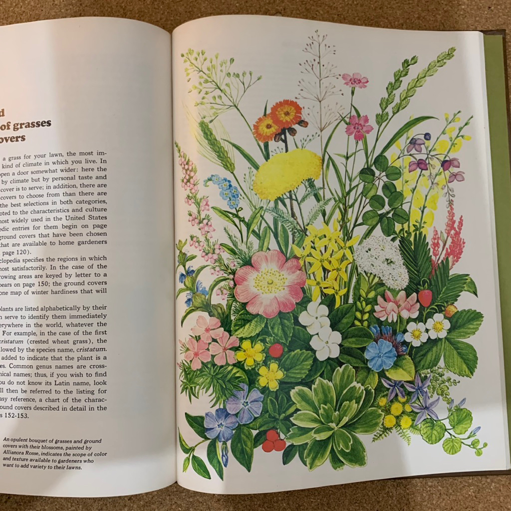 The life time  encyclopedia of gardening | Lawns ground covers