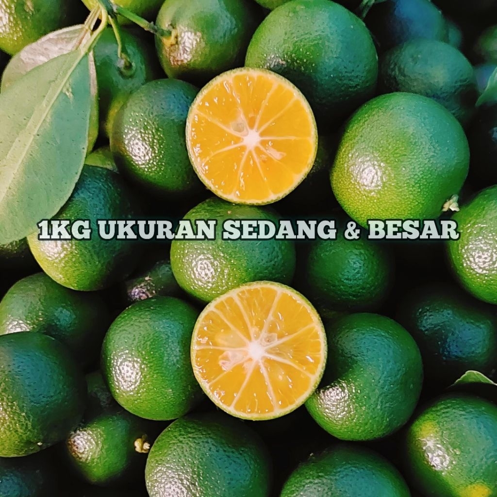 1KG JERUK SONKIT / JERUK KASTURI