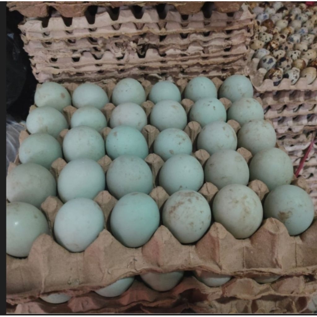 Telur Bebek Mojosari Omega 3