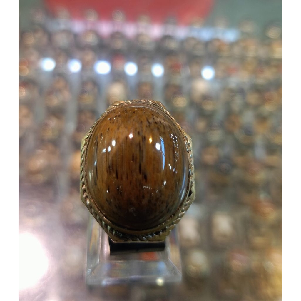 Cincin Batu Fosil kelor (Natural)