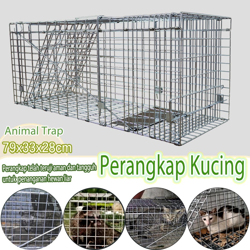 Perangkap musang luwak garangan biawak Dapat dilipat  Jebakan kucing