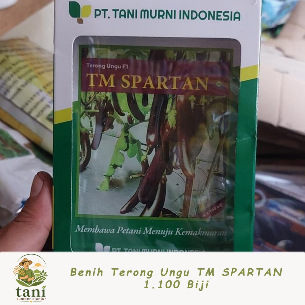 Benih Terong Ungu TM SPARTAN 1.100 Biji