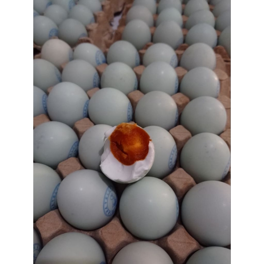telur asin omega kualitas premium dan Masir kemasan mika isi 6pcs