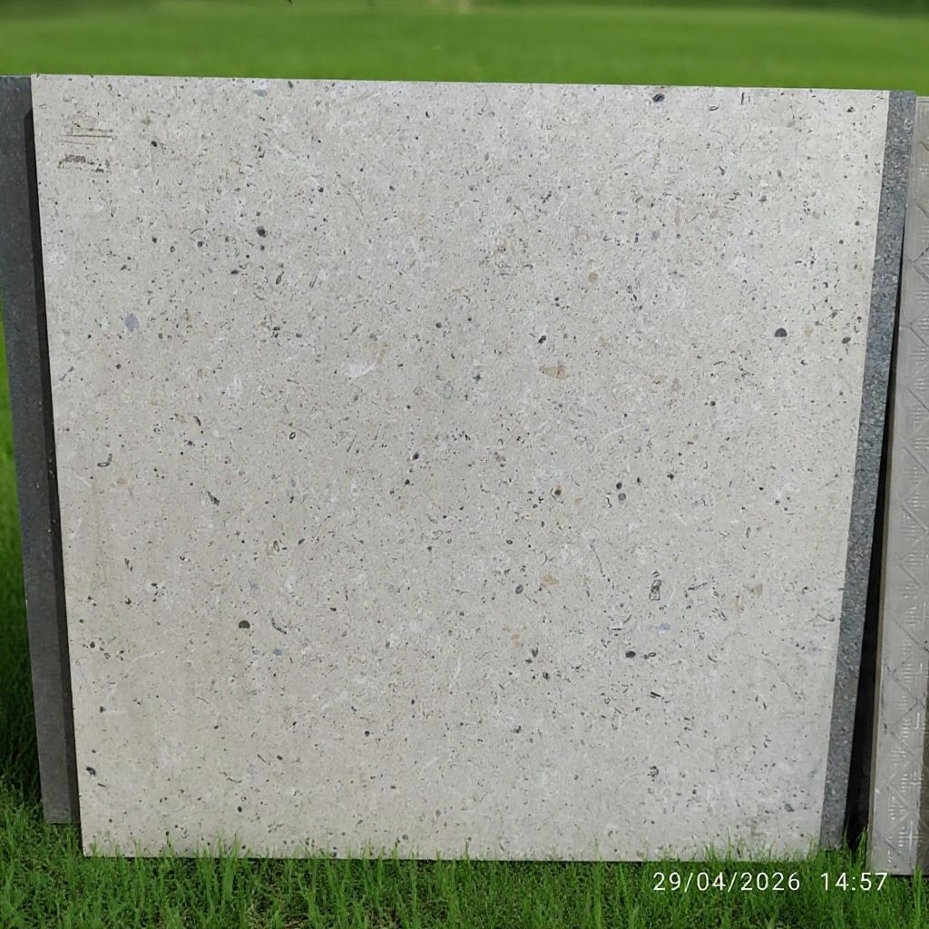Essenza Granit Matte beige accorn 60x60