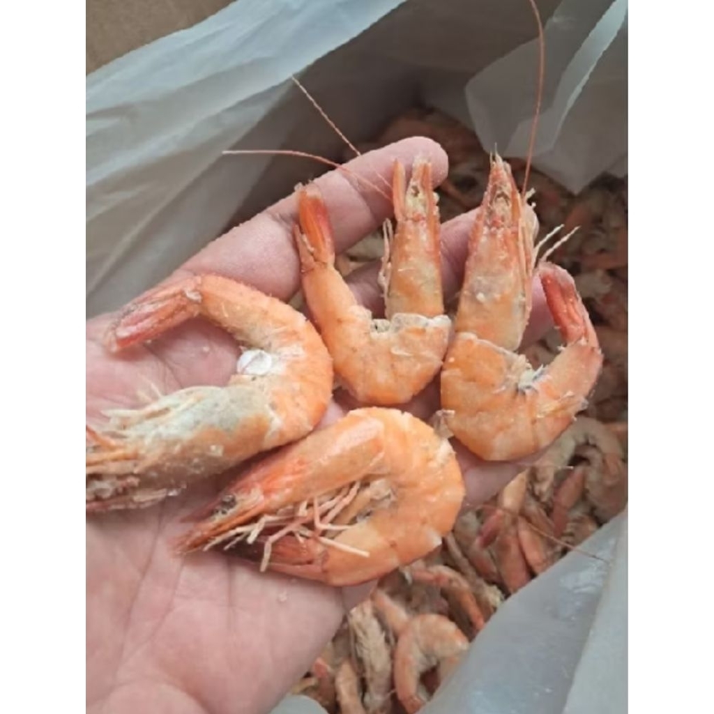 udang asin kering 1kg