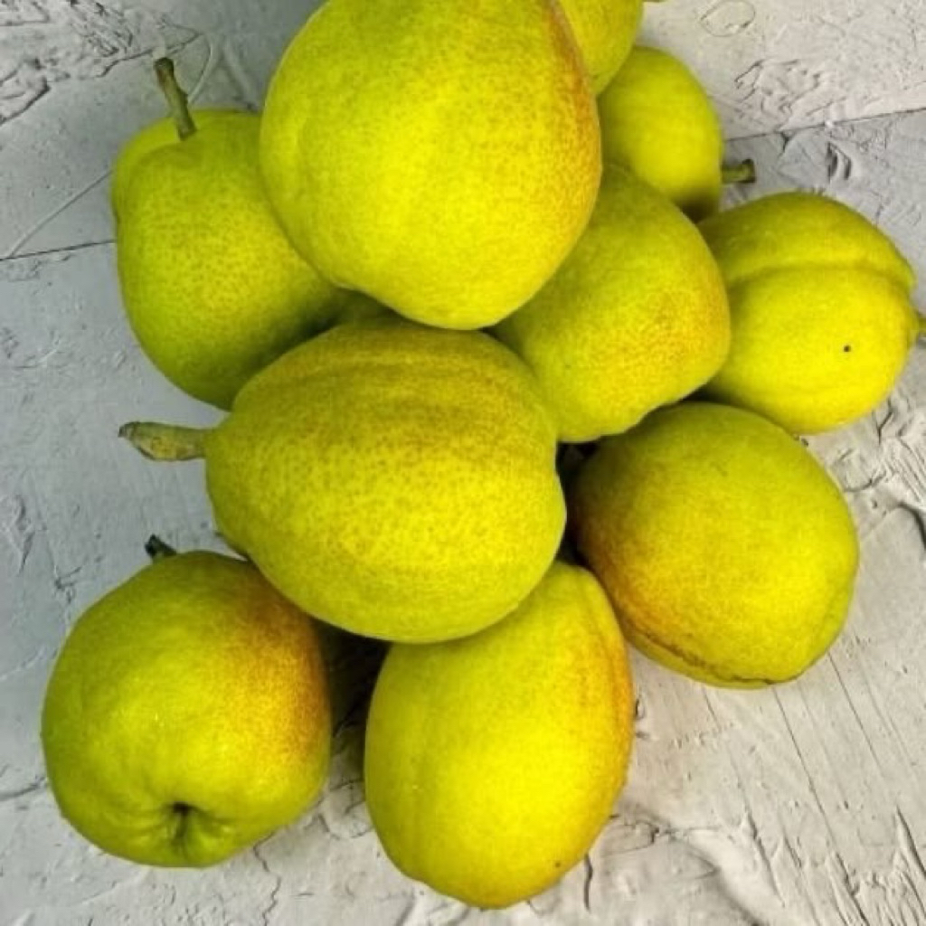 Buah Pir xiang lie Segar 1 kg dengan Daging Juicy dan Manis