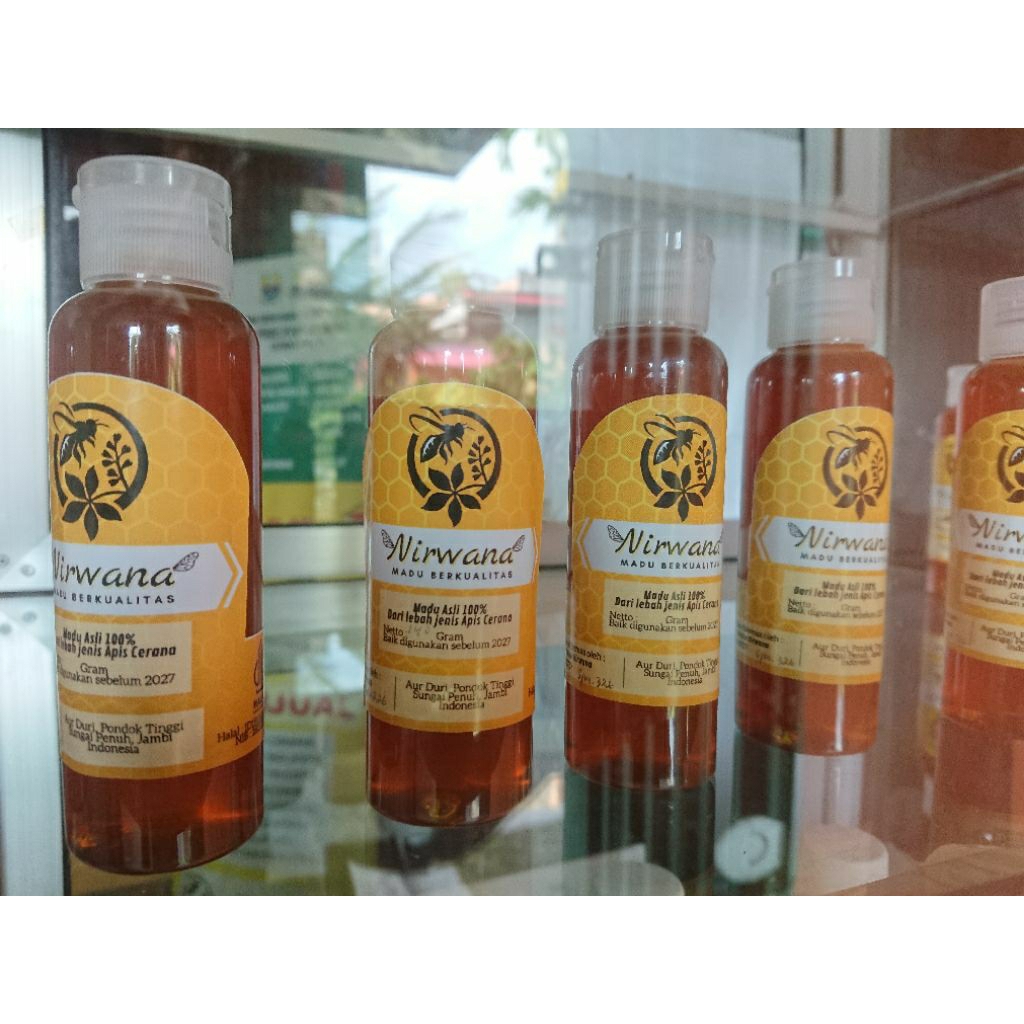 madu asli lebah apis cerana