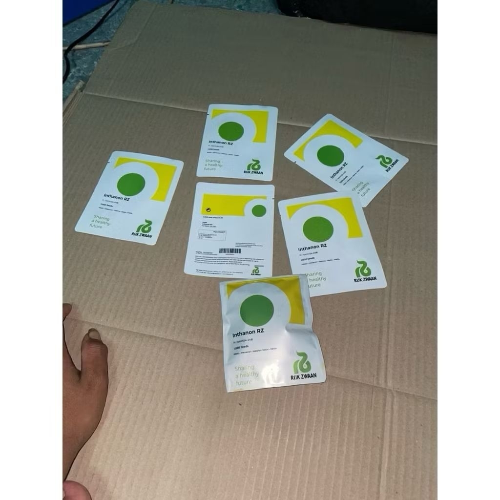 Benih Melon INTHANON RZ F1 1000 Seeds Original Golden Emerald