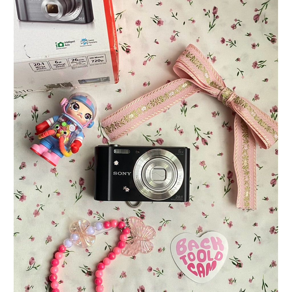 Digicam / Camera Digital Sony CyberShot Dsc W810 (full set with box)