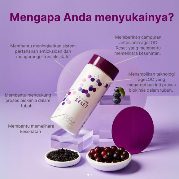 Suplemen Antioksidan Kesehatan Tubuh Harian AGE LOC RESET