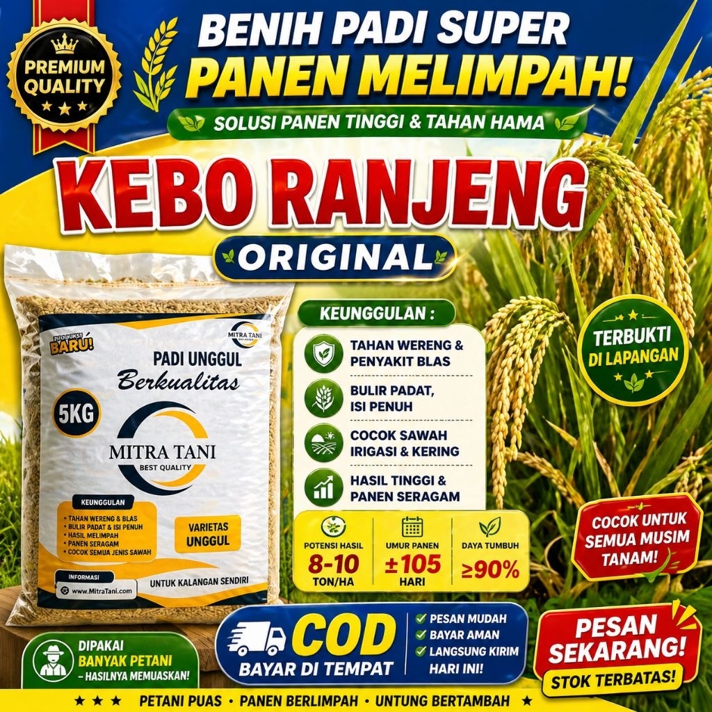 benih padi kebo ranjeng (bojeng) original 5kg