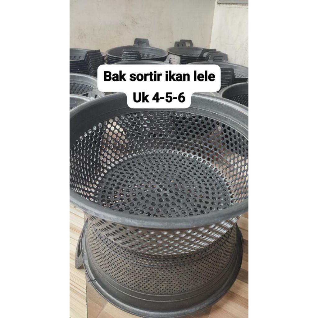 bak sortir lele uk 4-5-6 /ikan lele/ember sortir lele murah/ember lele/ember sortir ikan/ember ayak 