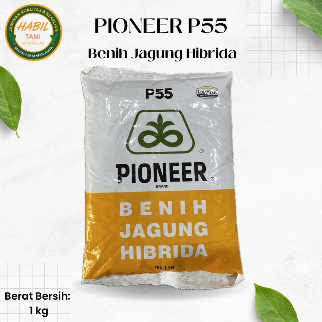 Bibit Jagung PIONEER P55 HIBRIDA LUMIGEN_Anti Bulai_Corteva_1 kg
