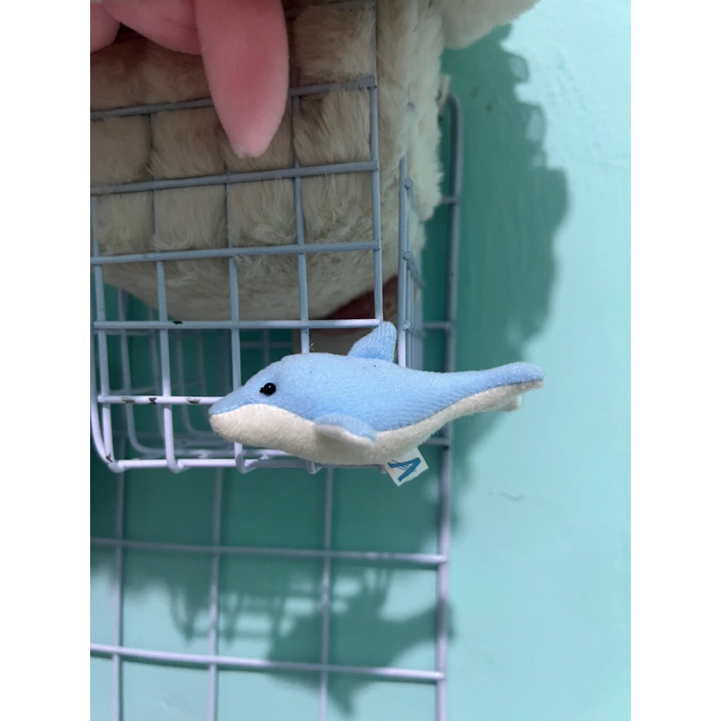 Boneka ikan lumba magnet ikan lumba lumba brand aqua magnet boneka magnet ikan lumba