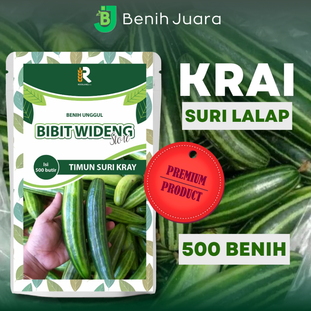 (500 BUTIR) BIJI BENIH TIMUN SURI KRAI LALAP KEMASAN SUPER PREMIUM