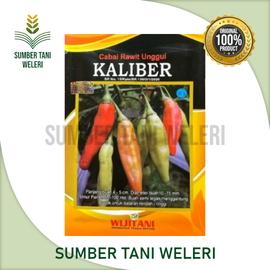 BENIH CABAI RAWIT KALIBER - BENIH CABAI RAWIT - 10 GR - WIJITANI - CV JOGJA HORTI LESTARI
