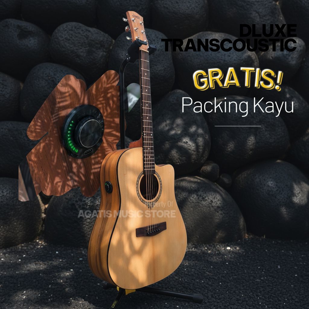 Gitar Dluxe Transkustik  DW110 Df110 DW110G DW100 Df100