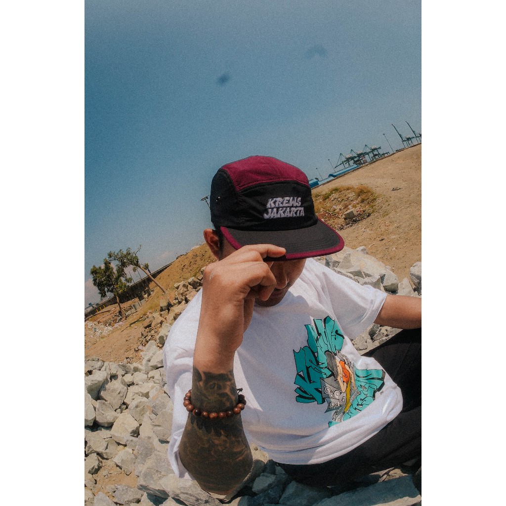 Borisov 5Panels