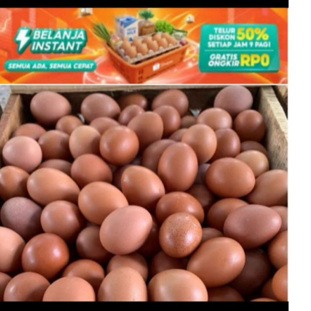 ( INSTAN ) Telur Ayam Negri Yogyakarta murah berkualitas dan fress