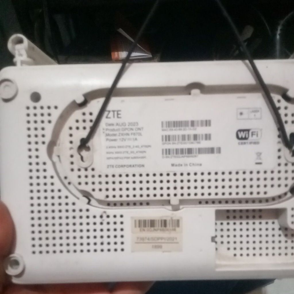 ZTE F670L