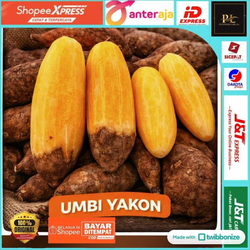 UBI YAKON | 1KG | grade - A | Asli Wonosobo Kualitas Premium | Original Dieng Plateau | Makanan Alam