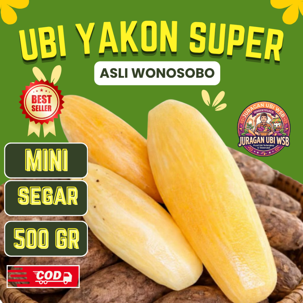 ubi yakon mini setengah kg isi 4-6 buah, 100%original penurun gula darah asli wonosobo