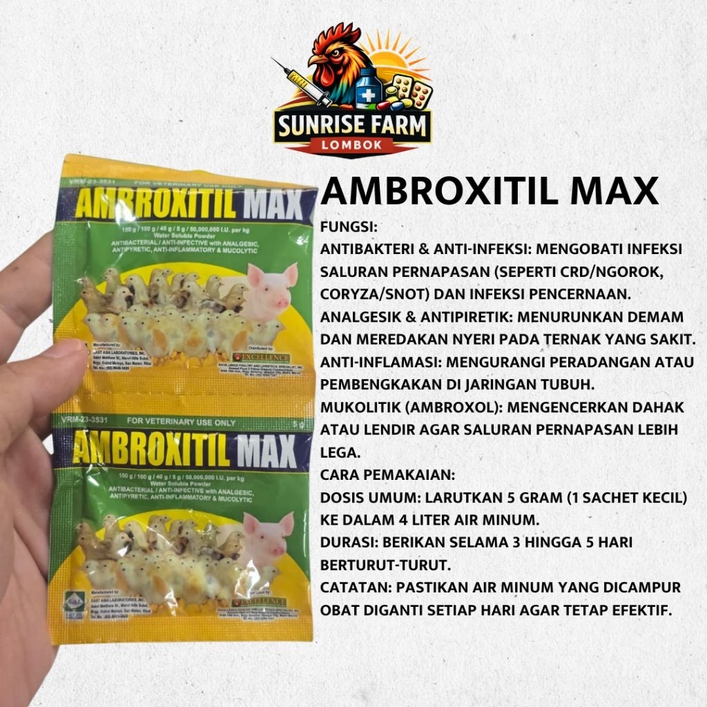 amborxitil max antibiotik ayam import filipin / antibiotik ayam / vitamin anak ayam