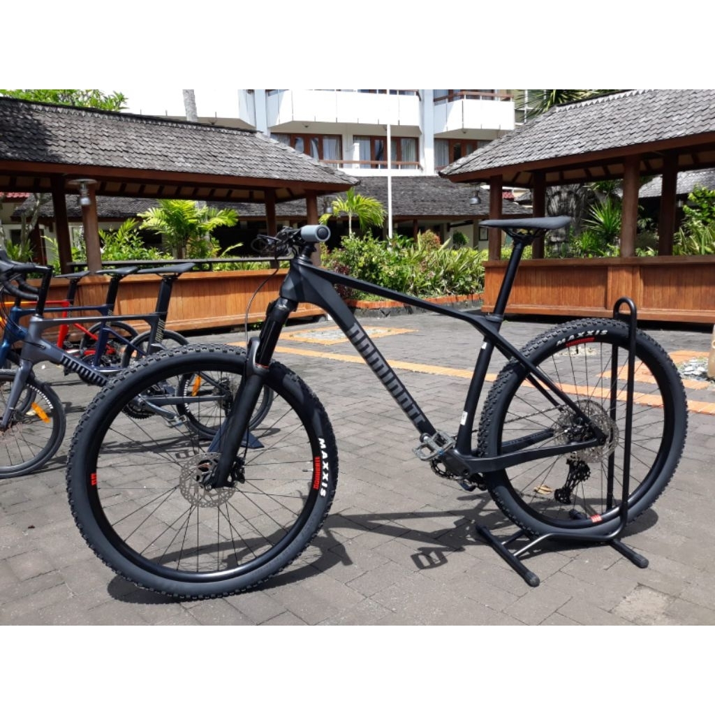 SEPEDA MTB DOMINATE CXC BASE 29 INCH FRAME CARBON - NEW ORI