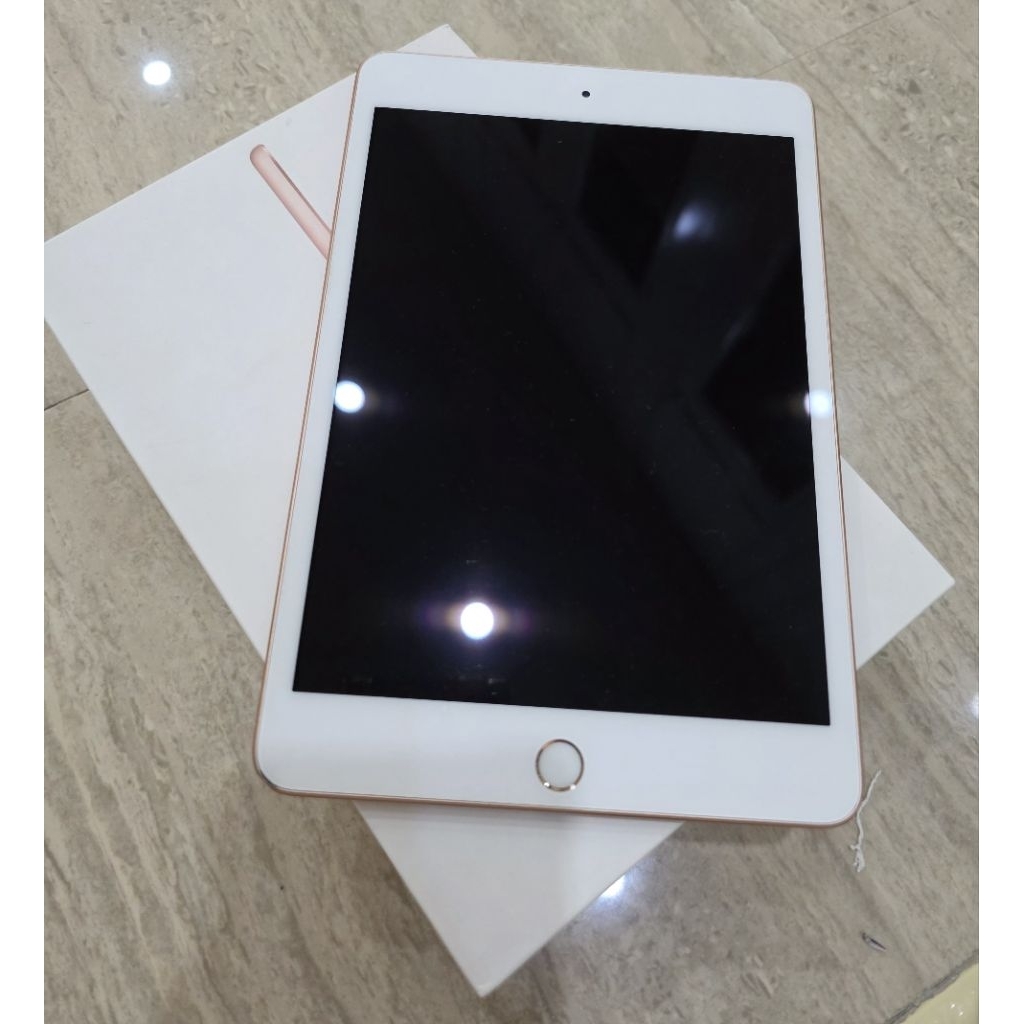 Ipad Mini 5 WIFI only 256GB