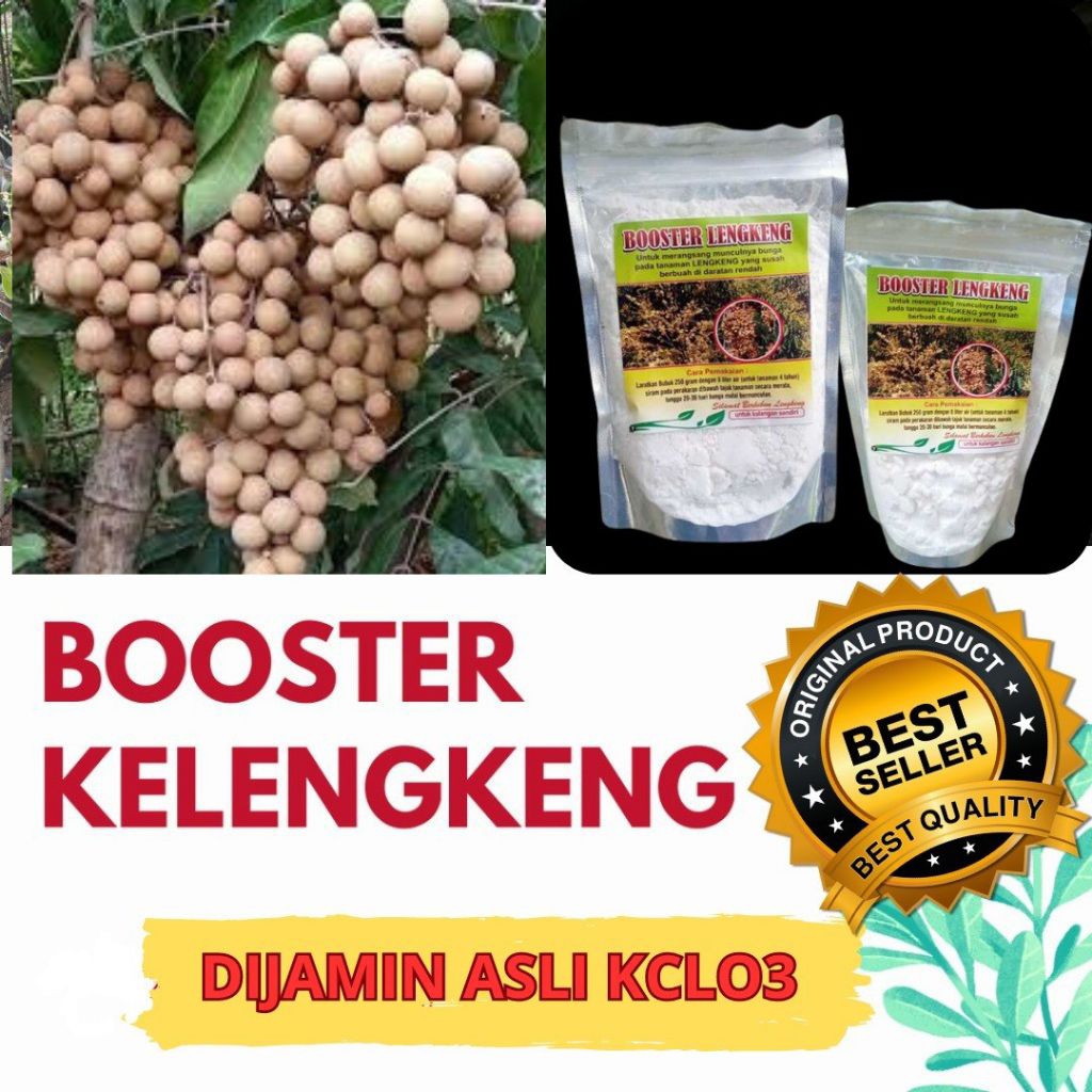 CEPAT BERBUAH  Booster Kelengkeng Buat Kelengkeng, Booster Kelengkeng Cair