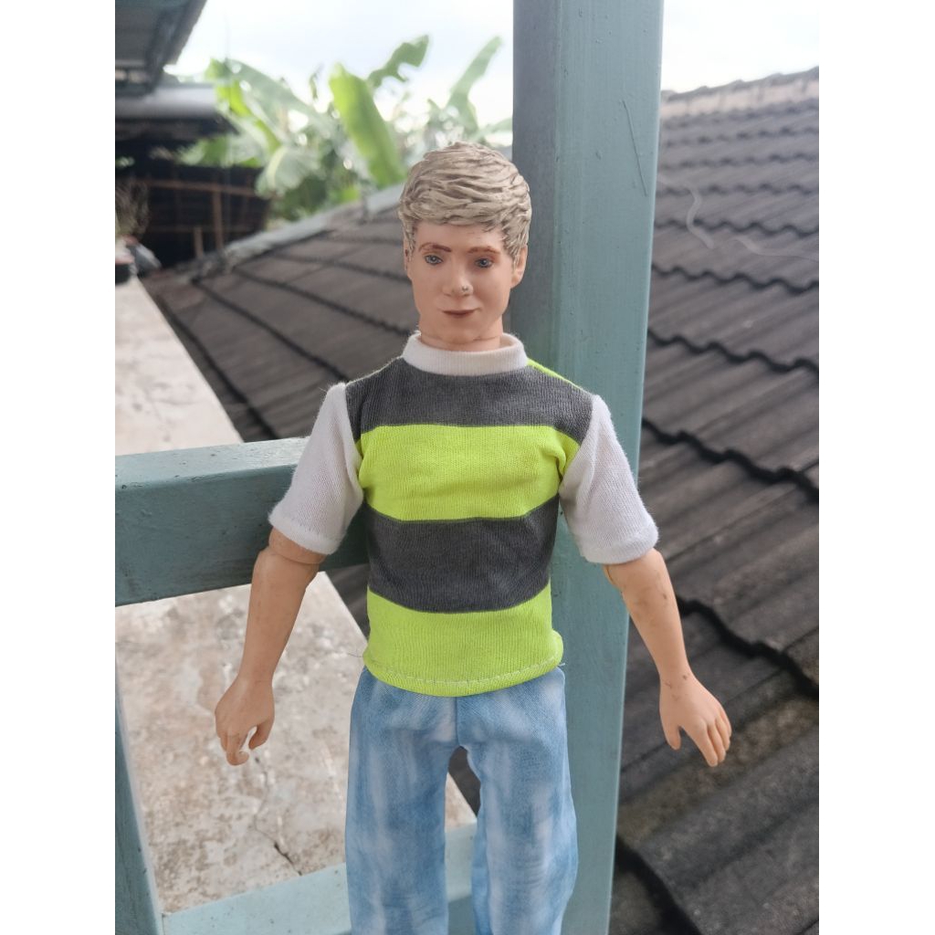 Ken Barbie One Direction Harry Styles Hasbro Preloved (pivotal)