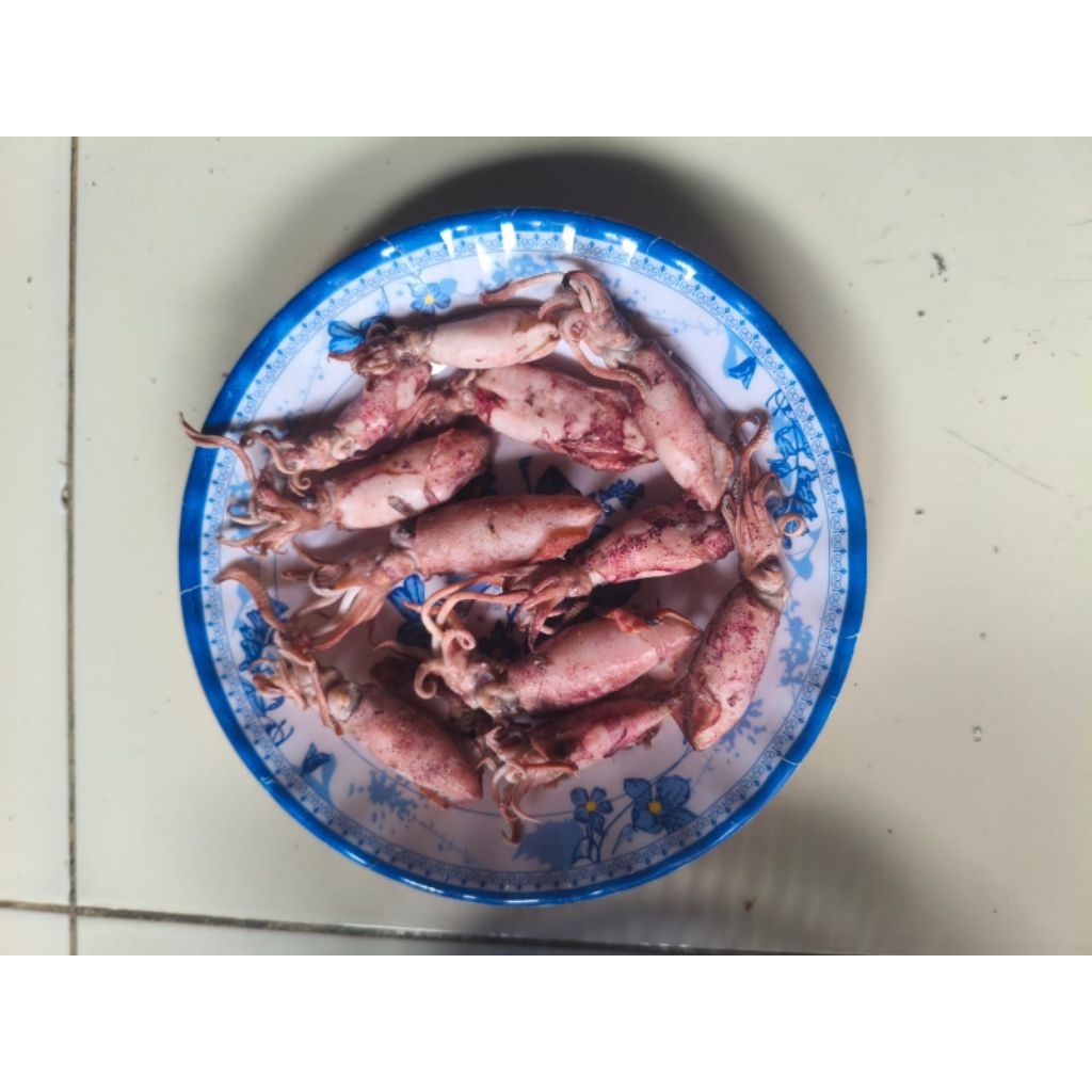 ikan asin cumi sontong