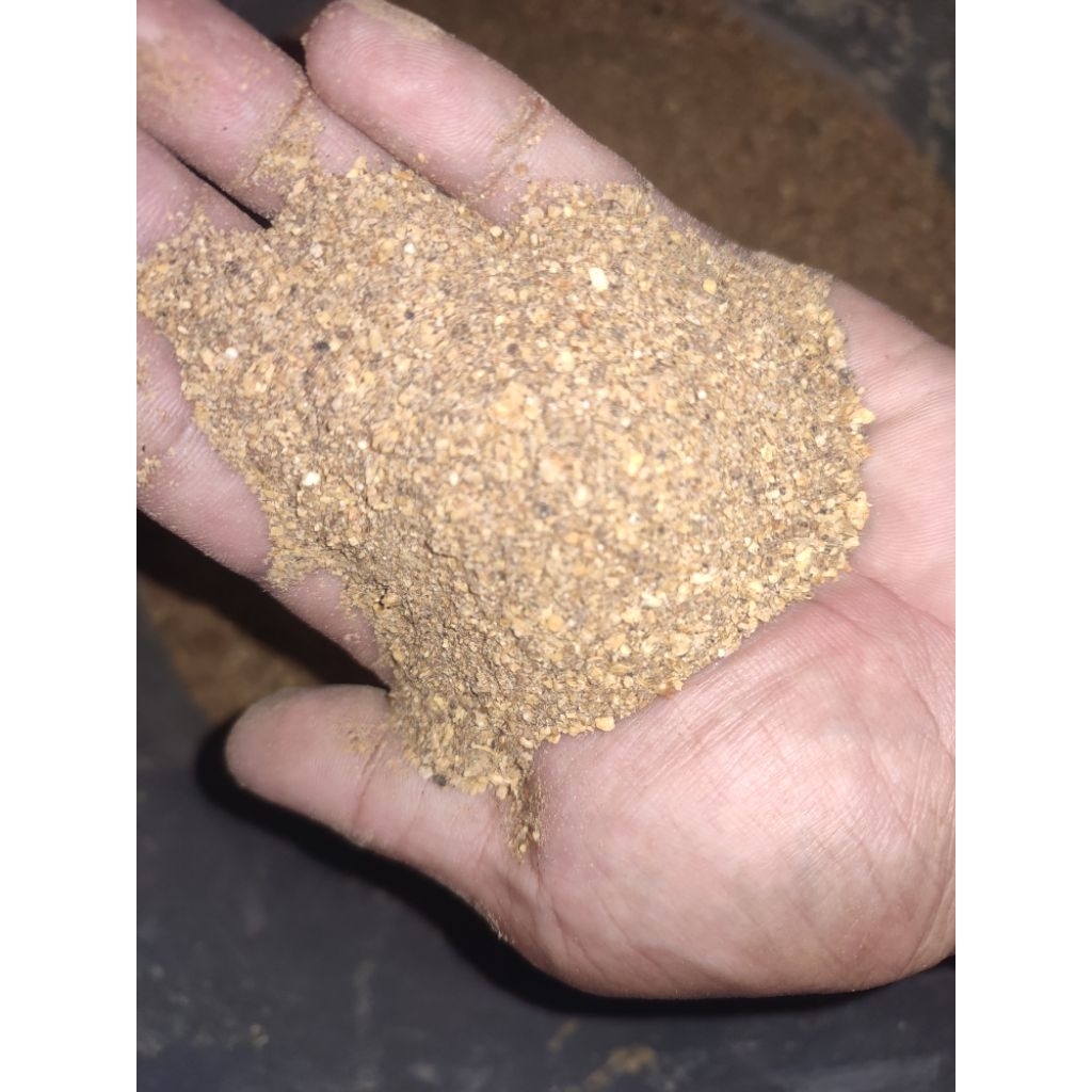 jual konsentrat pedaging/boiler untuk ayam 1kg