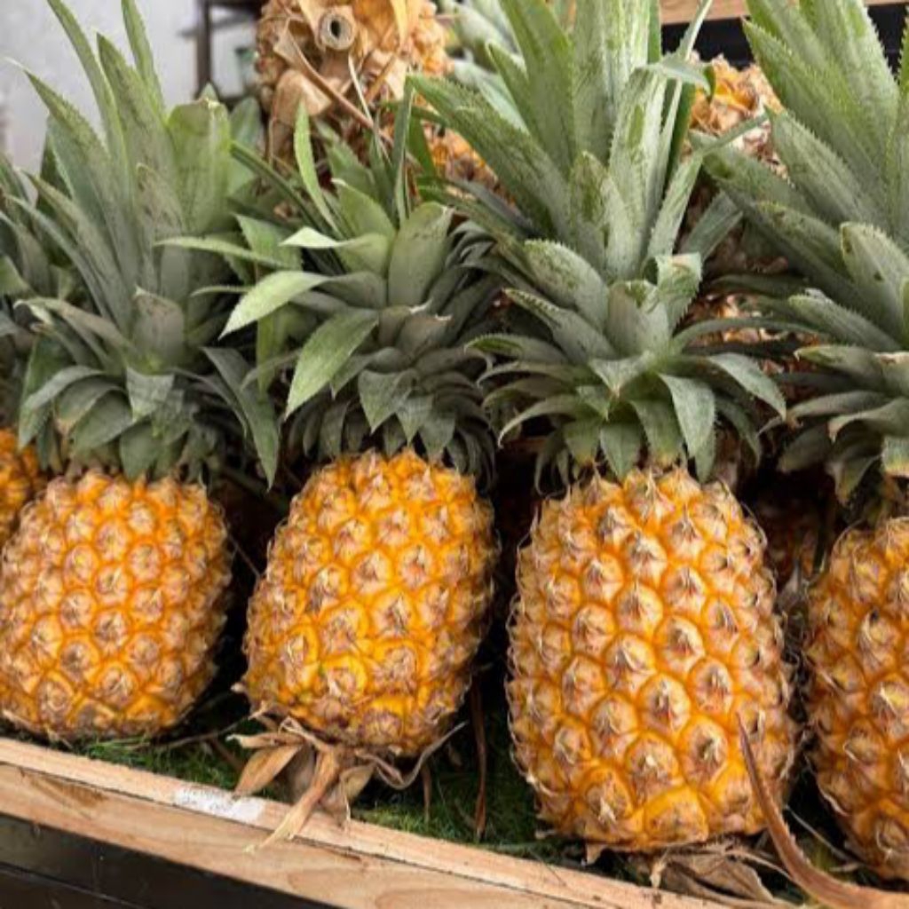 Nanas Madu Gunung Kelud Kediri(beli 4 bonus 1)