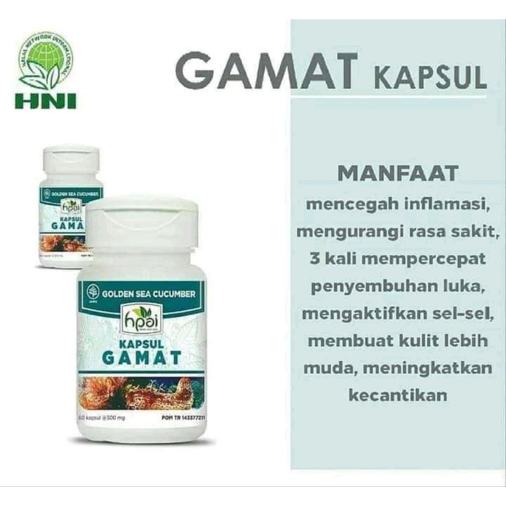 Gamat Emas HNI isi 60 kapsul