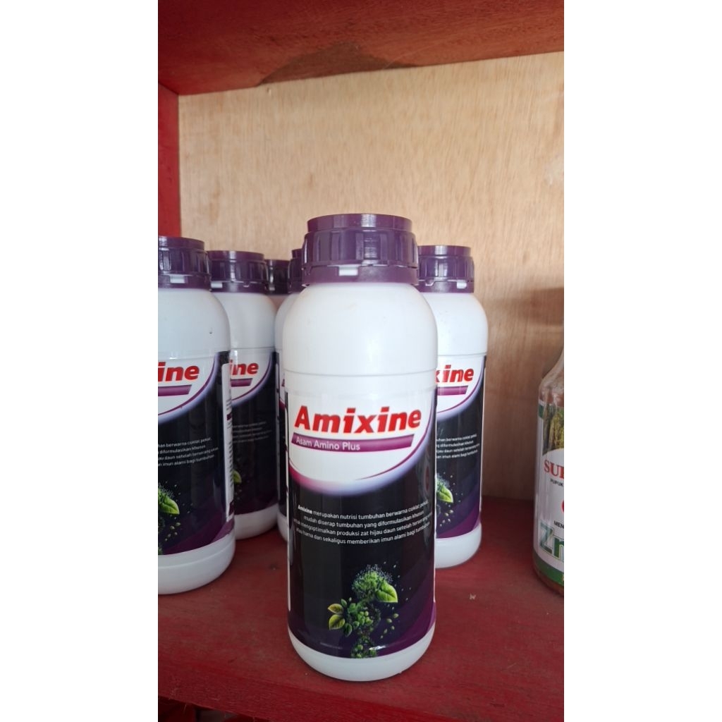Asam Amino Plus AMIXINE