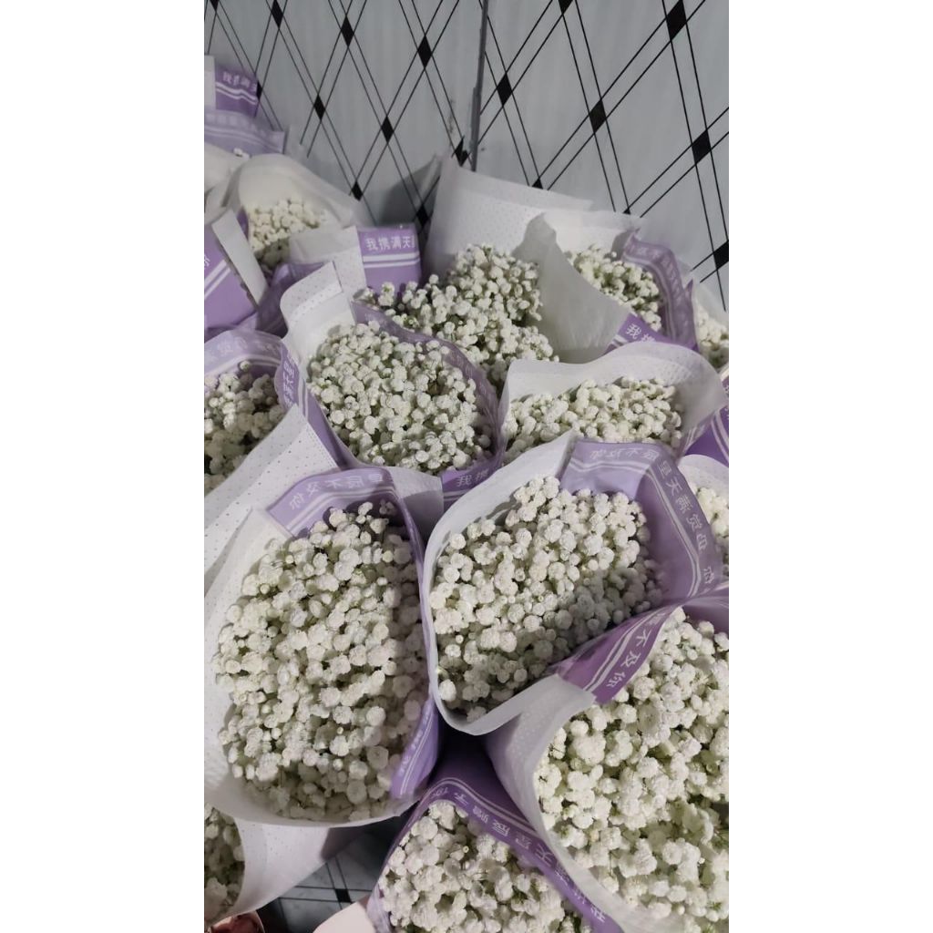 Bunga Potong Baby Breath Bunga Segar Fresh Flower