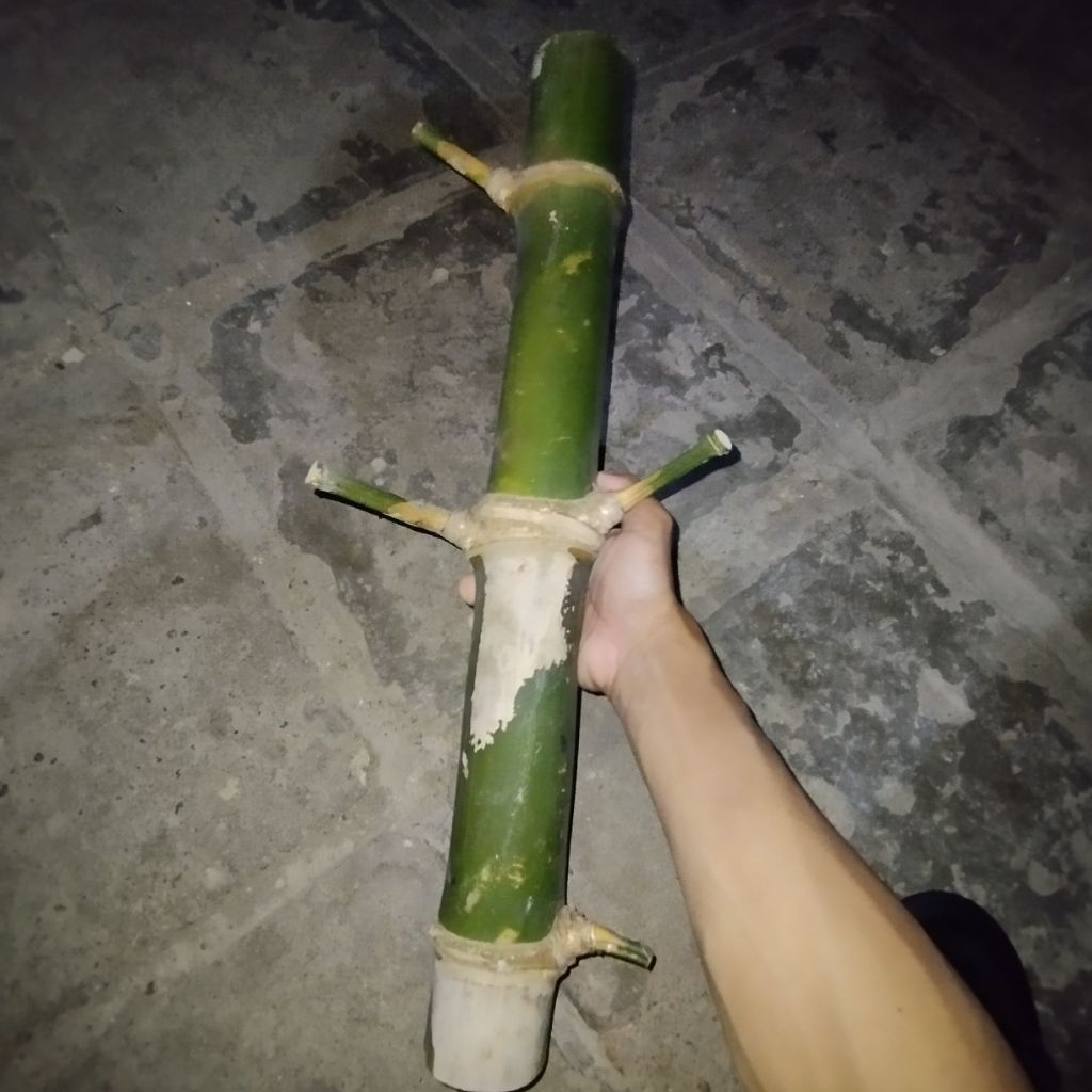 BAMBU TUMPANG SARI ASLI LANGKA