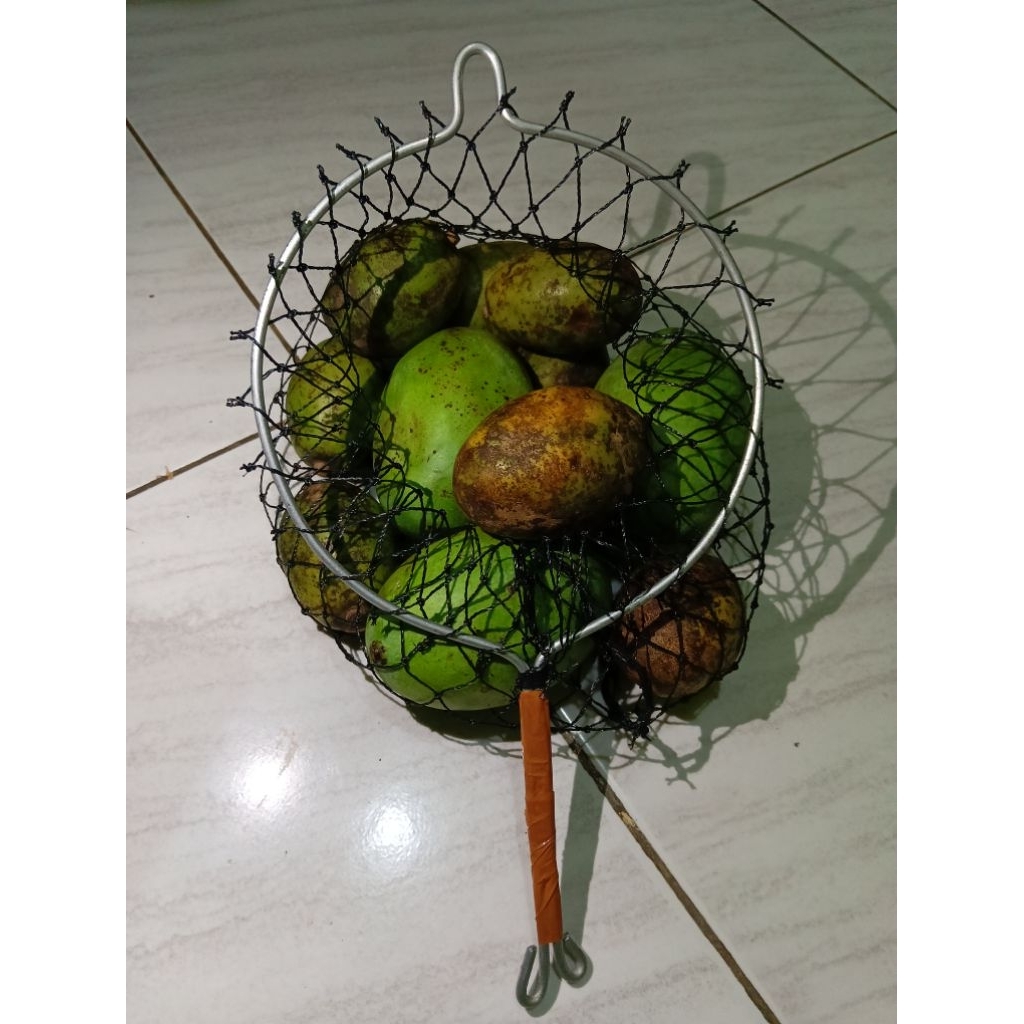 Alat petik buah mangga kedondong alpukat jambu dll