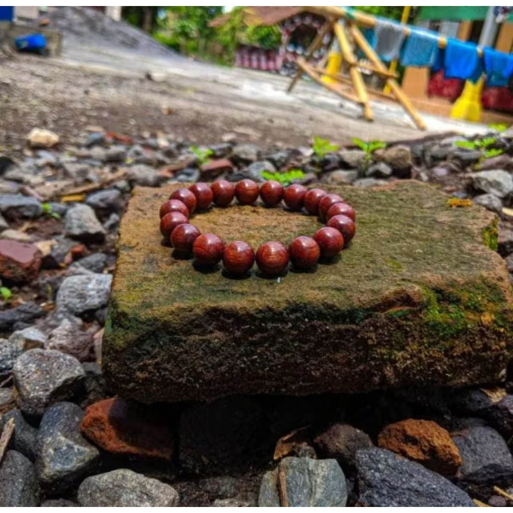 GELANG NAGASARI AKAR TUNJANG