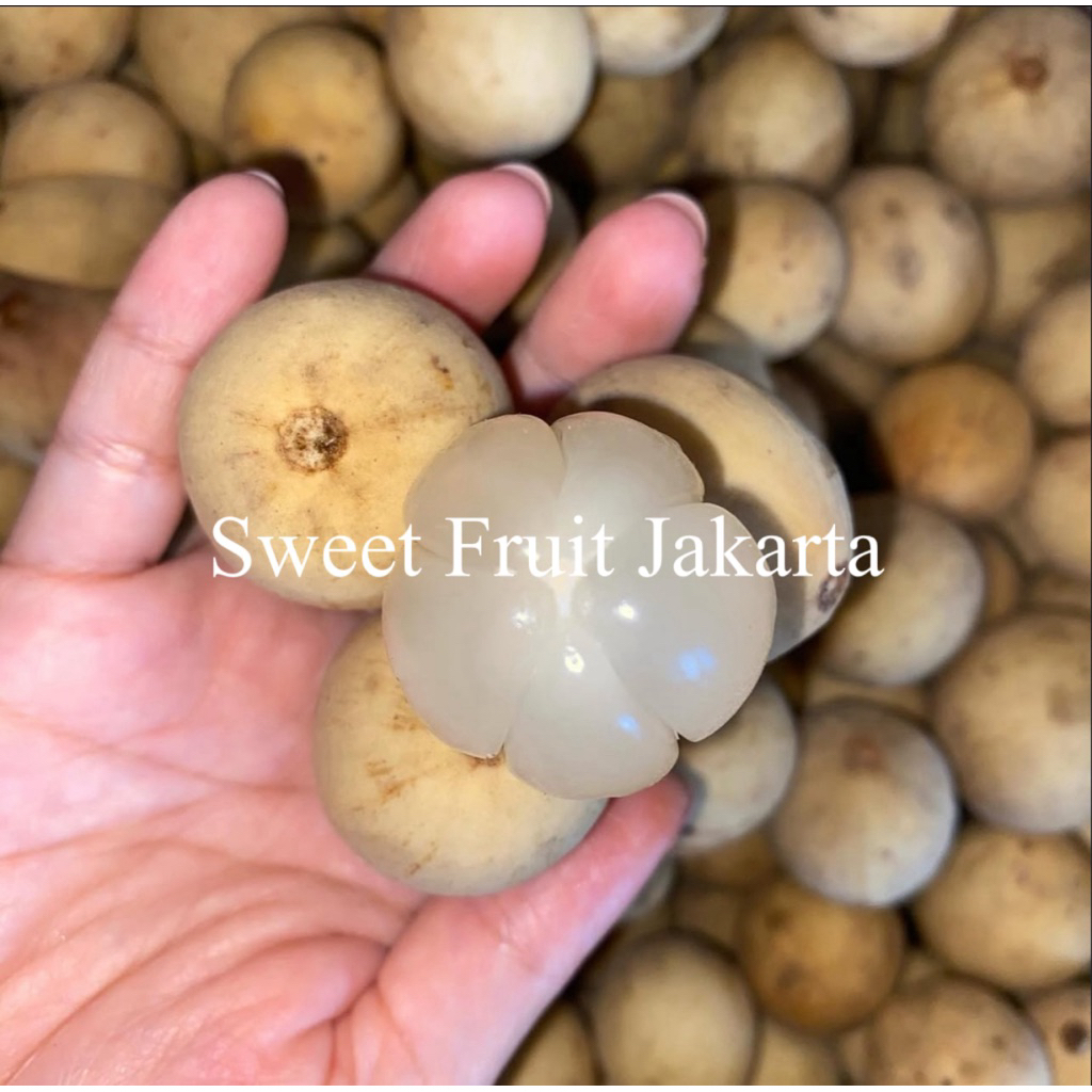 Buah Duku Padang Manis Fresh 1kg