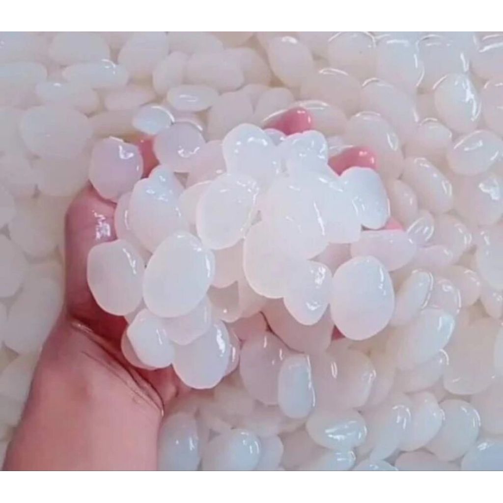 Kolang Kaling Muda 1 kg