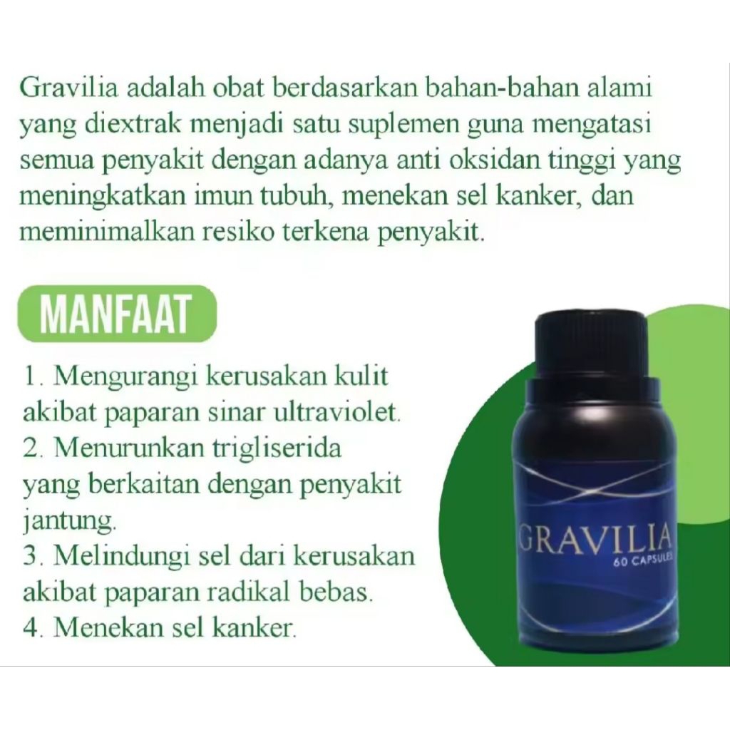 gravilia obat herbal diabetes kencing gravilia Asli