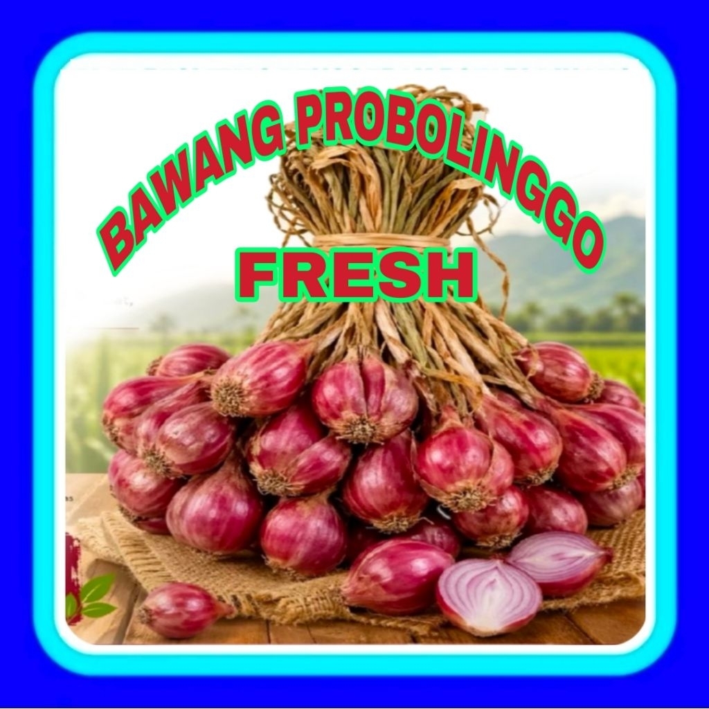 BAWANG MERAH PROBOLINGGO BAWANG MERAH SEGAR BAWANG MERAH KERING BAWANG MERAH SUPER BAWANG MERAH FRES
