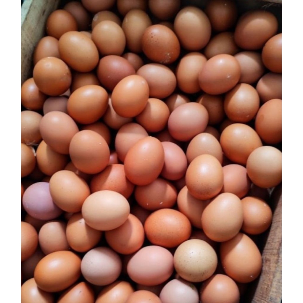 Telur ayam negri 1 kg (Instant Batu)