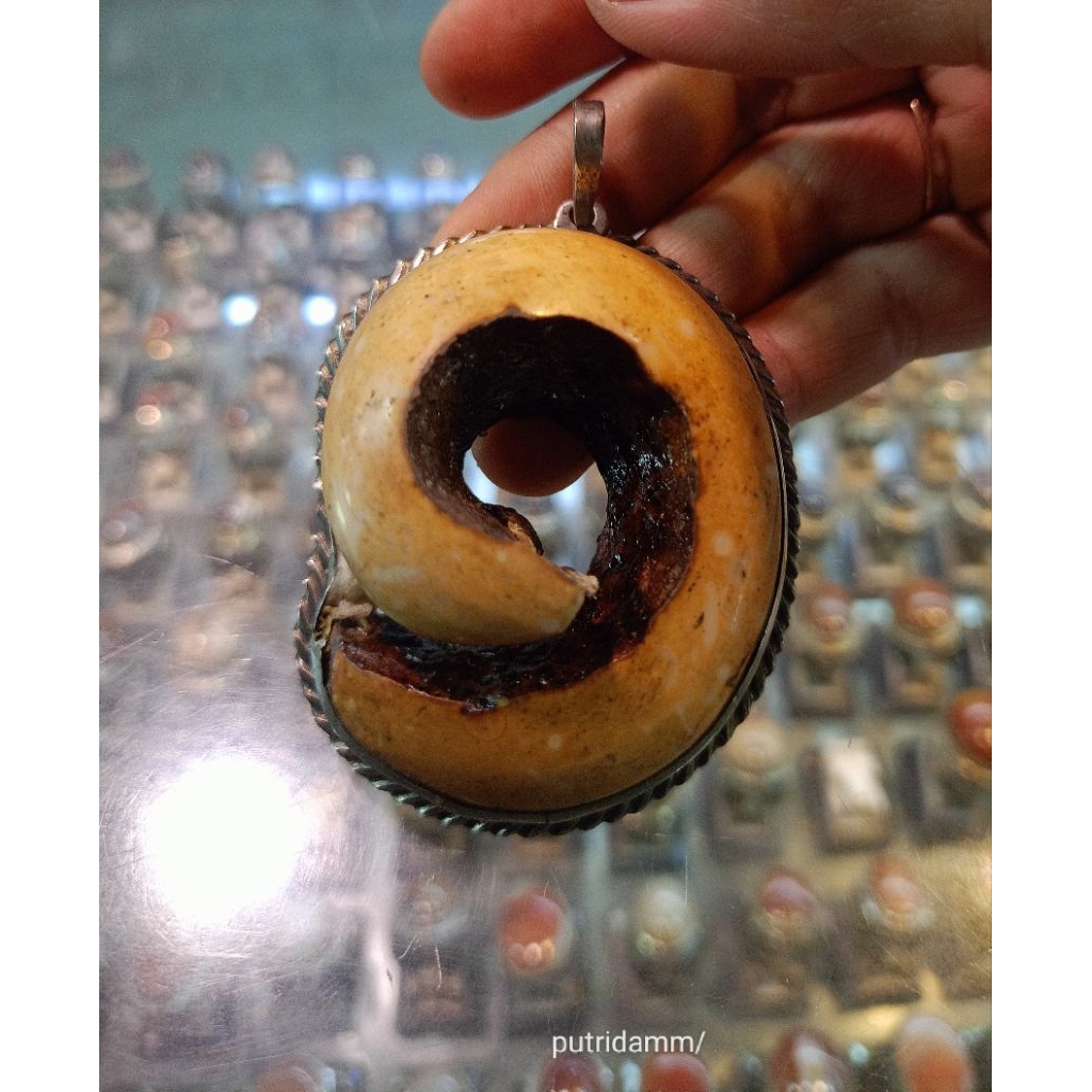 Liontin fosil  motif /jumbo (Natural)