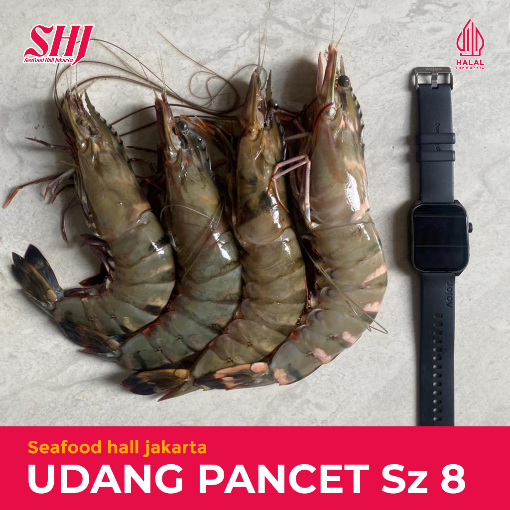 PROMO Udang Pancet Besar Size 8-10 (1kg isi 8-10 Ekor) / Udang Windu / Udang Segar